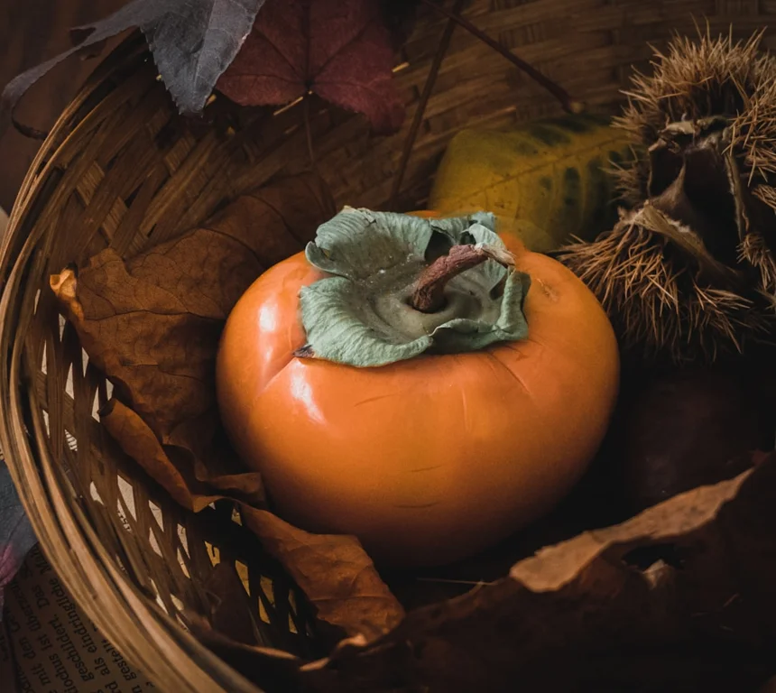 Persimmon