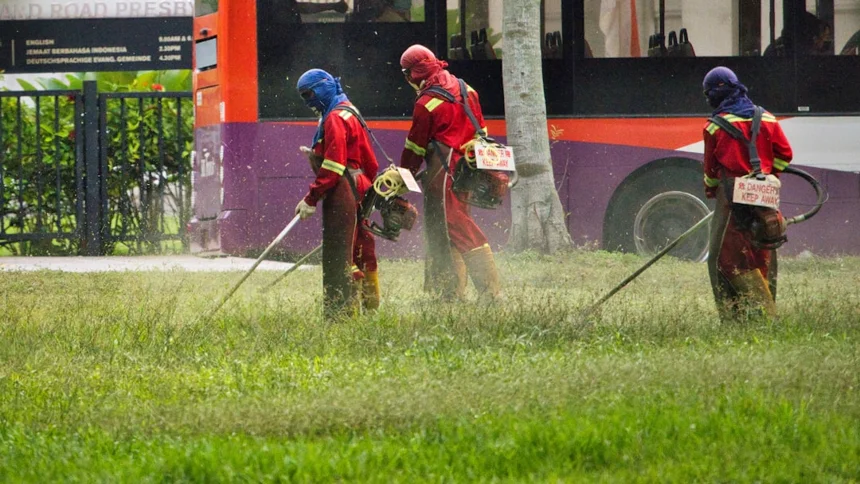 Pesticide