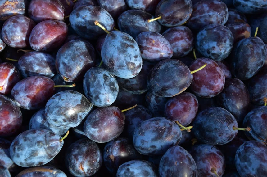 Plum