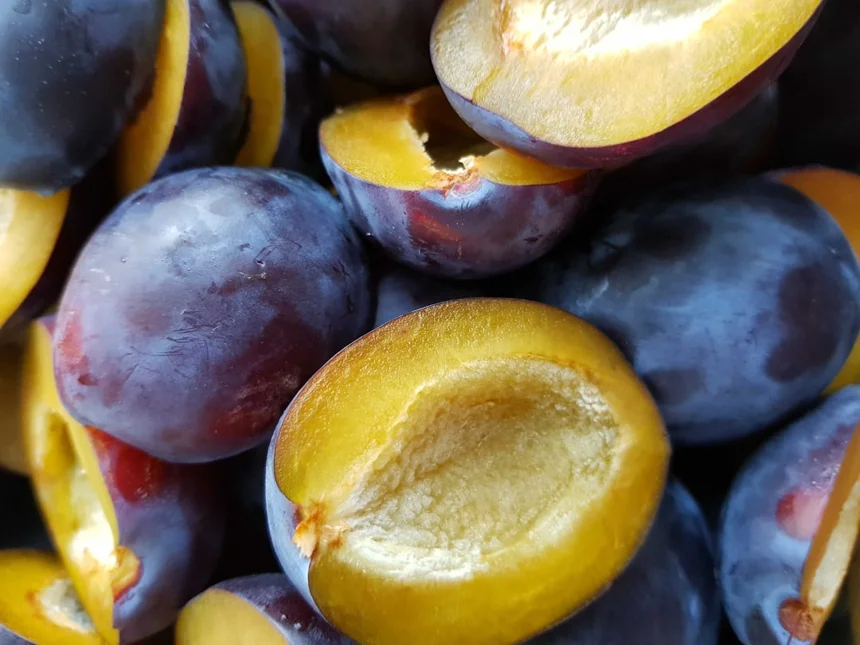 Prune