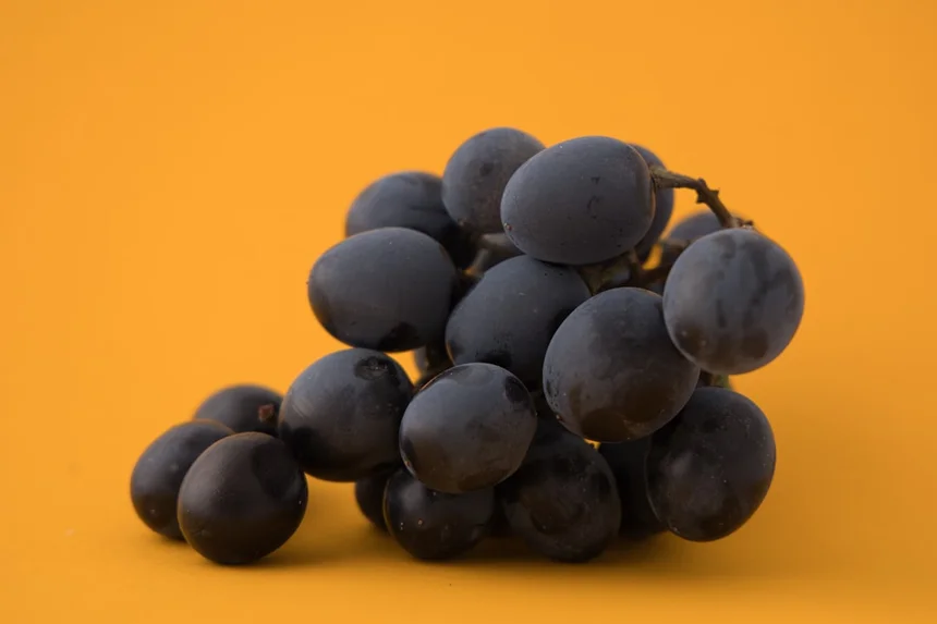 Prunes
