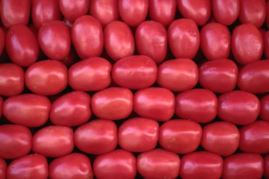 Red Yeast