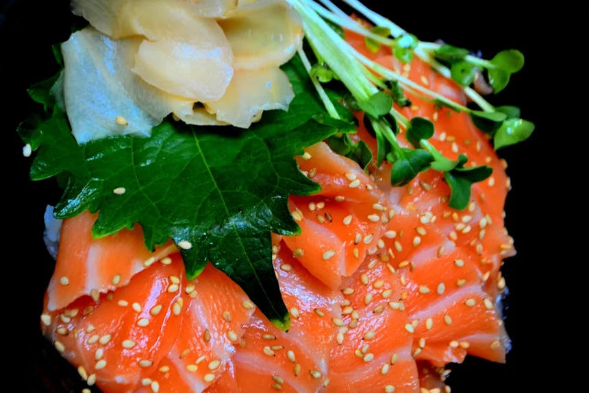 Salmon