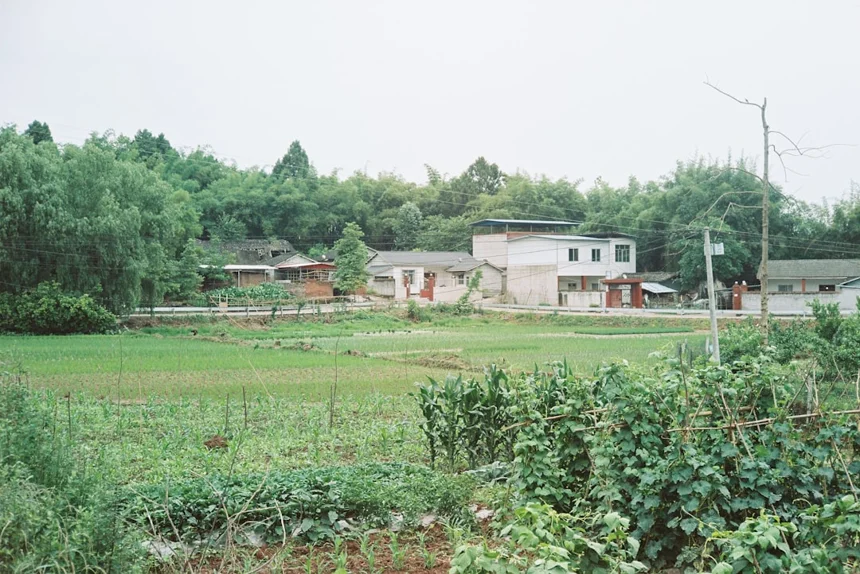 Samgyetang
