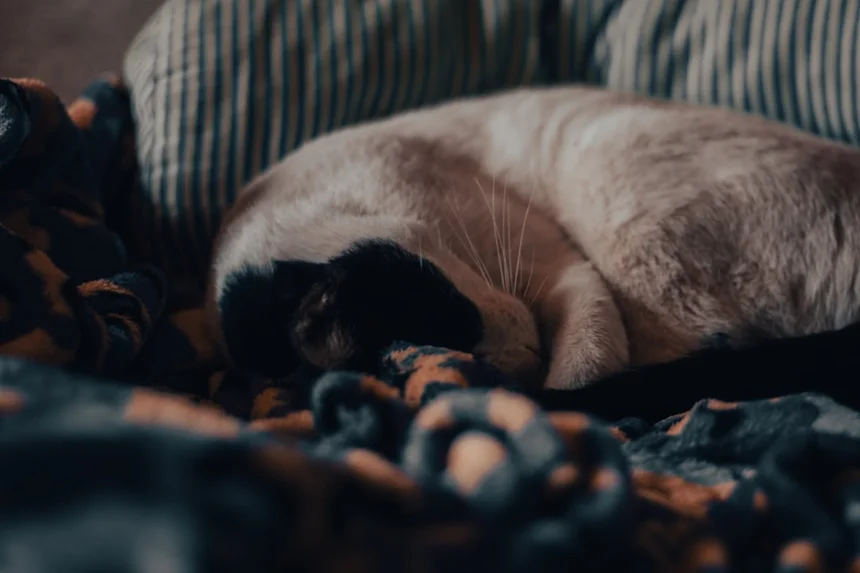Sleep.