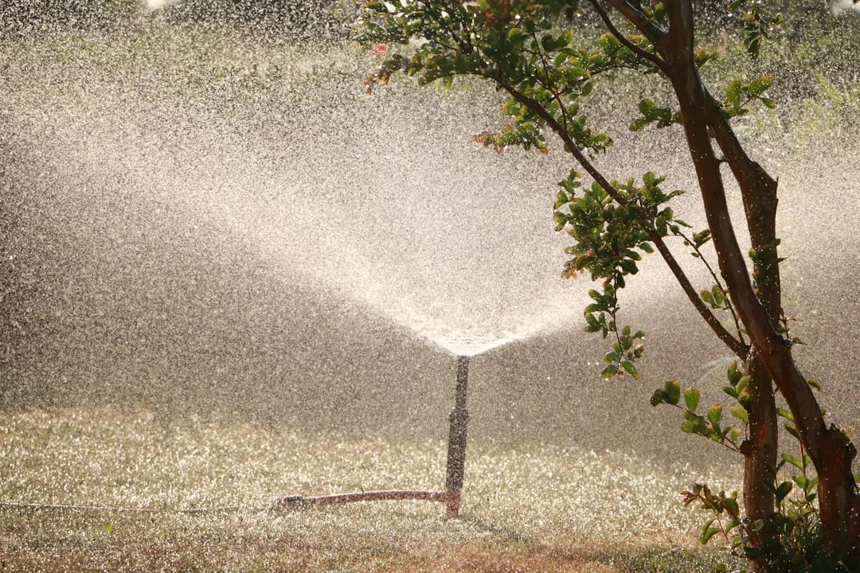 Spray