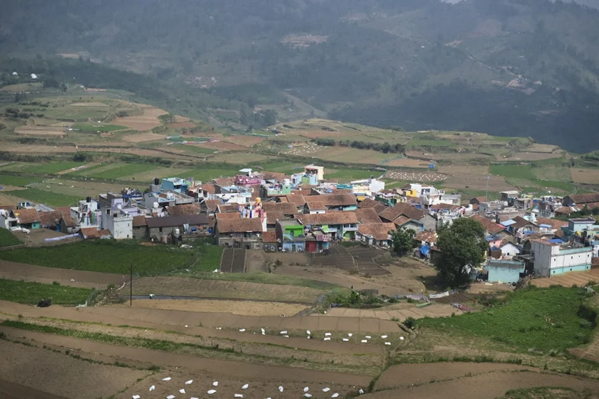 Transino