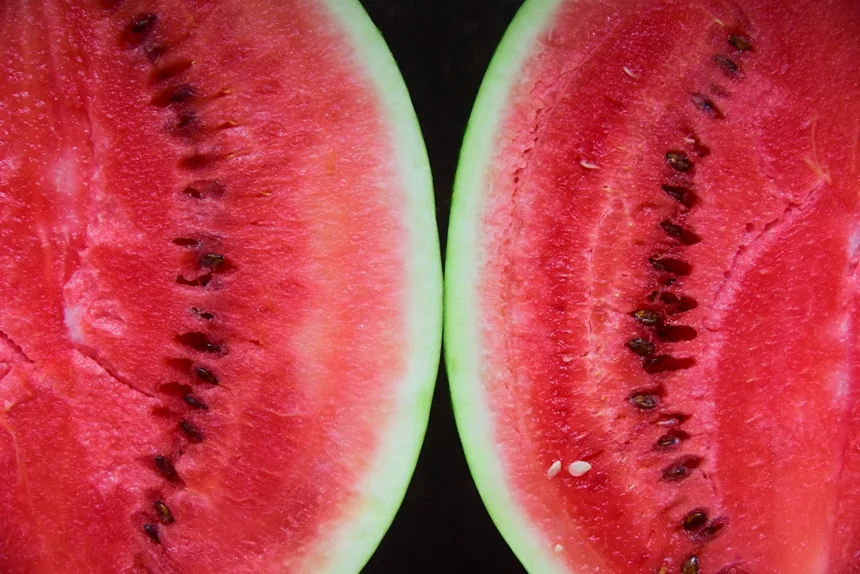 Watermelon seeds