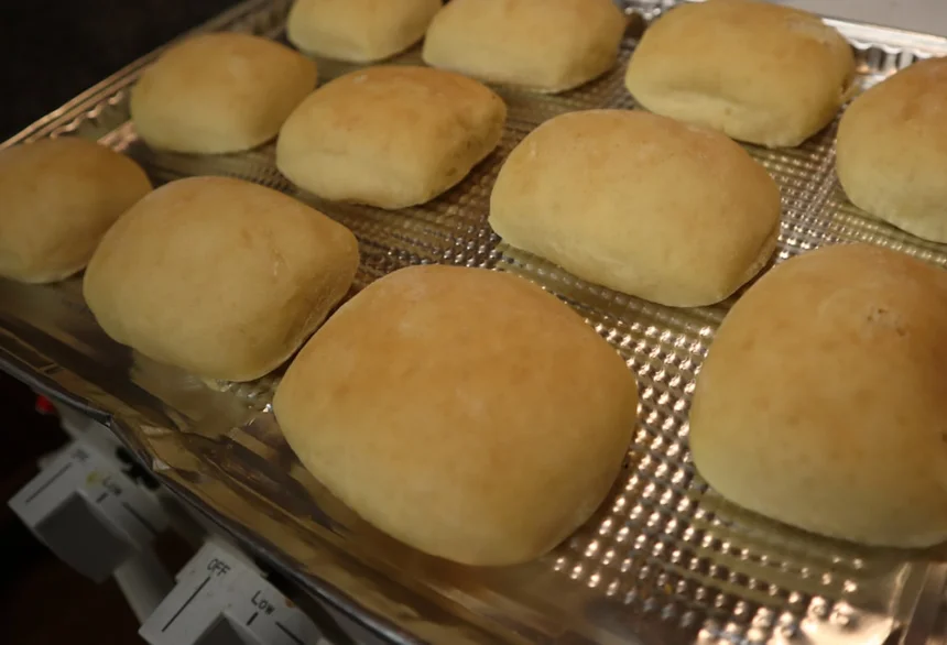 Yeast