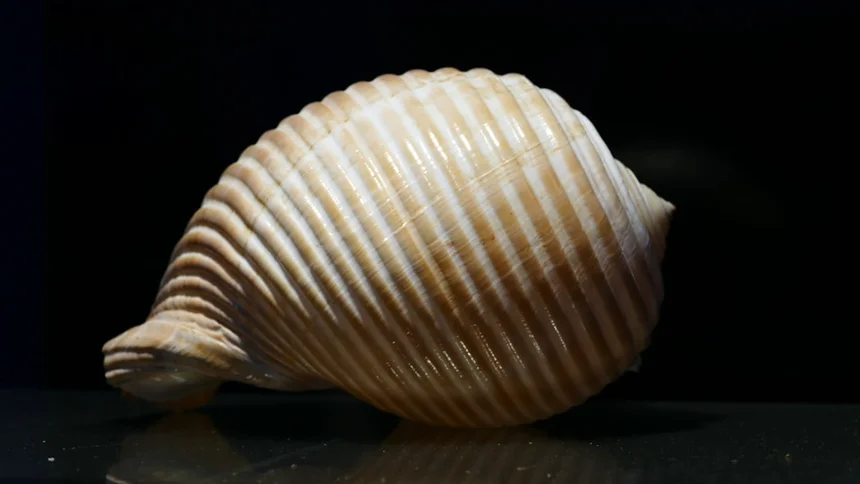 variant