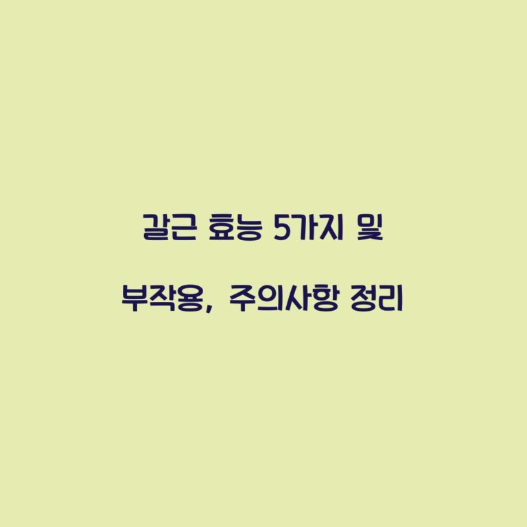 갈근 효능 5가지 및 부작용, 주의사항 정리