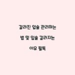 갈라진 입술 관리하는 법 및 입술 갈라지는 이유 필독