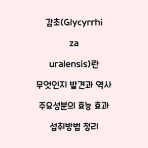 감초(Glycyrrhiza uralensis)란 무엇인지 발견과 역사 주요성분의 효능 효과 섭취방법 정리