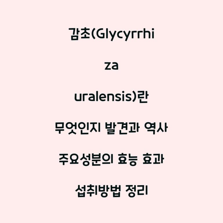감초(Glycyrrhiza uralensis)란 무엇인지 발견과 역사 주요성분의 효능 효과 섭취방법 정리