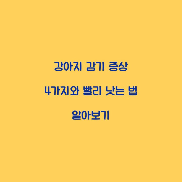 강아지 감기 증상 4가지와 빨리 낫는 법 알아보기