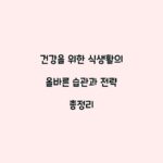 건강을 위한 식생활의 올바른 습관과 전략 총정리