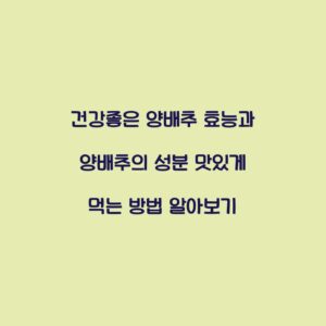 건강좋은 양배추 효능과 양배추의 성분 맛있게 먹는 방법 알아보기