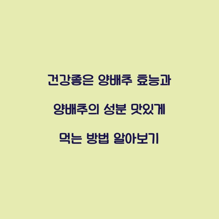 건강좋은 양배추 효능과 양배추의 성분 맛있게 먹는 방법 알아보기