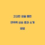 건강한 장을 통한 면역력 상승 효과 소개 방법
