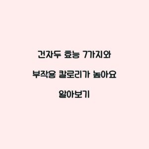 건자두 효능 7가지와 부작용 칼로리가 높아요 알아보기