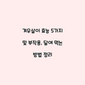 겨우살이 효능 5가지 및 부작용, 달여 먹는 방법 정리