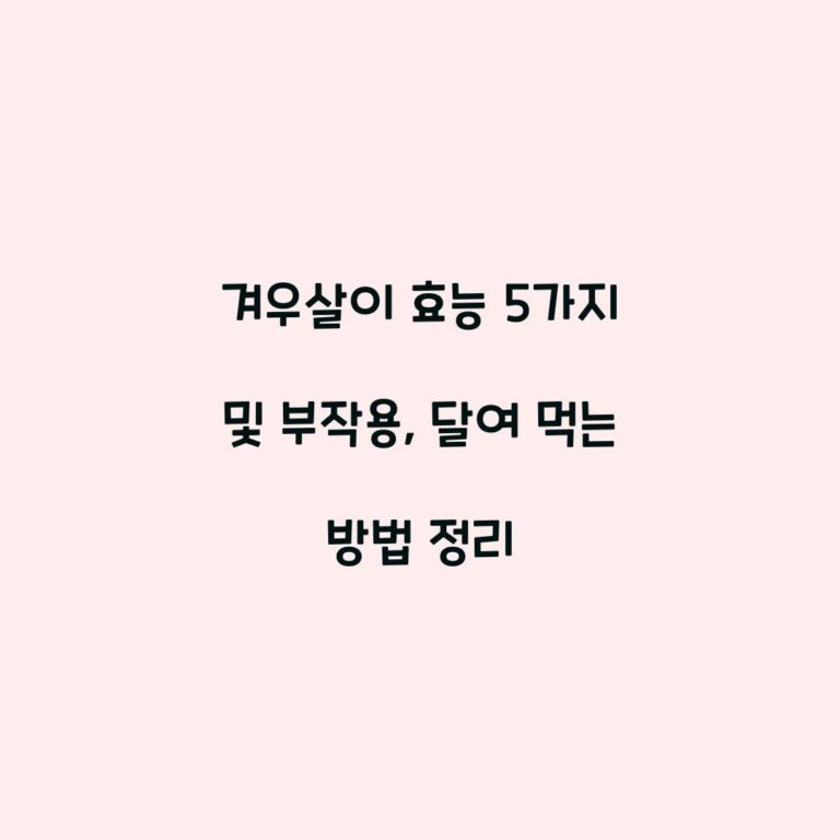 겨우살이 효능 5가지 및 부작용, 달여 먹는 방법 정리