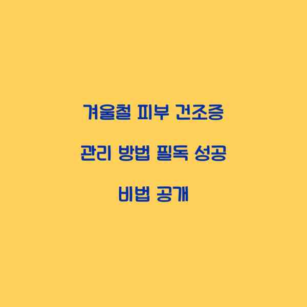 겨울철 피부 건조증 관리 방법 필독 성공 비법 공개