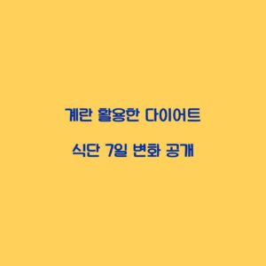 계란 활용한 다이어트 식단 7일 변화 공개