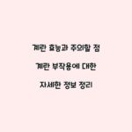 계란 효능과 주의할 점 계란 부작용에 대한 자세한 정보 정리