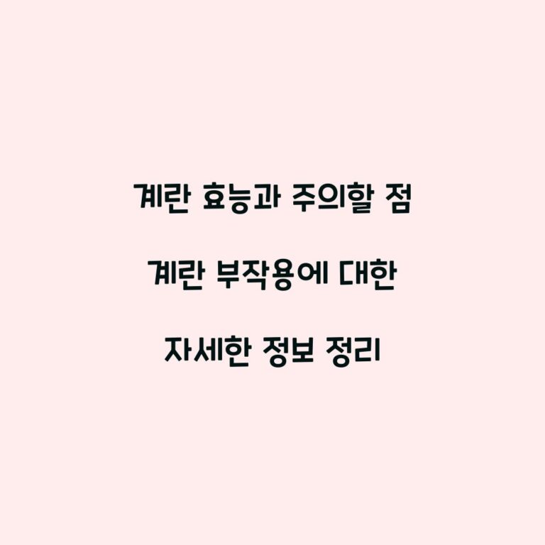 계란 효능과 주의할 점 계란 부작용에 대한 자세한 정보 정리