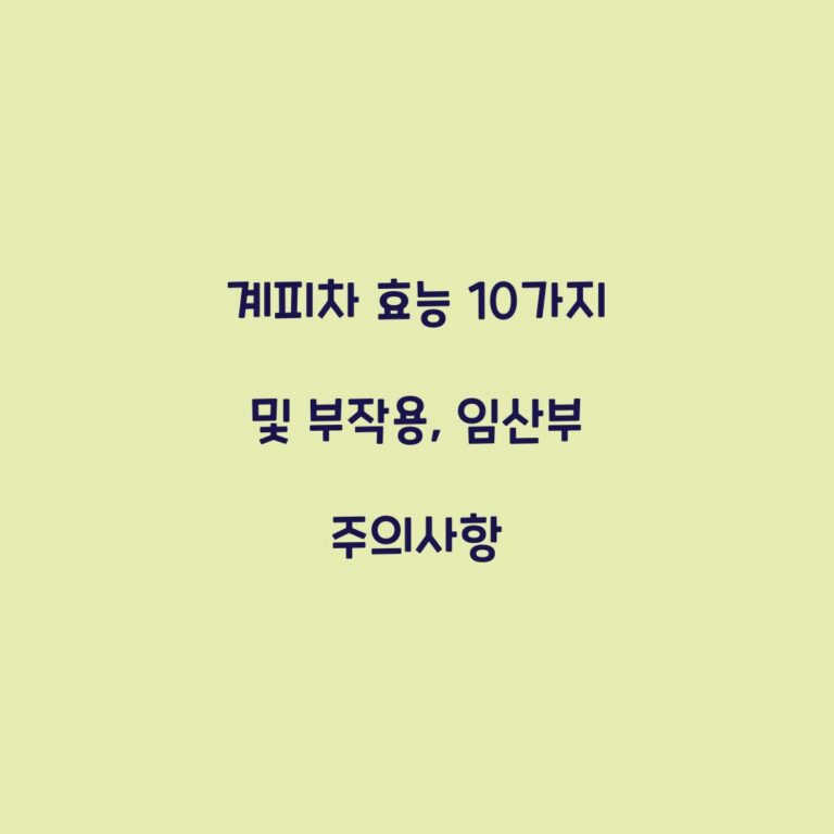 계피차 효능 10가지 및 부작용, 임산부 주의사항