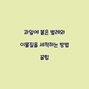 과일에 붙은 벌레와 이물질을 세척하는 방법 꿀팁