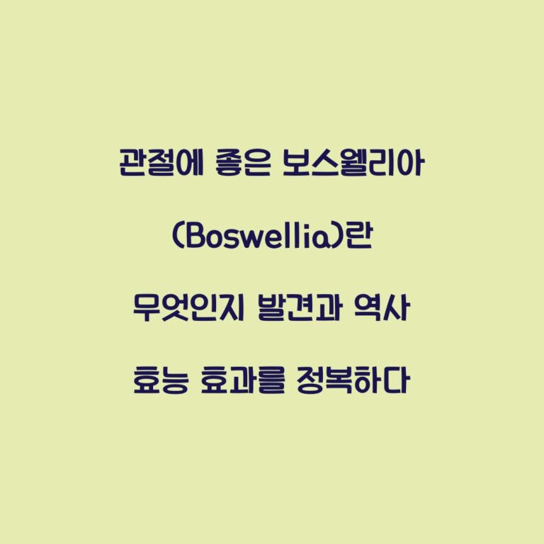 관절에 좋은 보스웰리아(Boswellia)란 무엇인지 발견과 역사 효능 효과를 정복하다