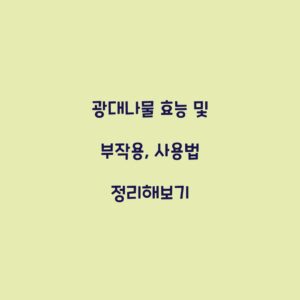 광대나물 효능 및 부작용, 사용법 정리해보기