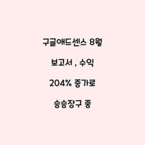 구글애드센스 8월 보고서 , 수익 204% 증가로 승승장구 중