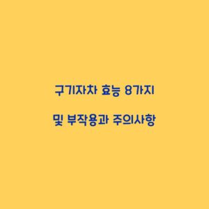 구기자차 효능 8가지 및 부작용과 주의사항