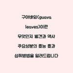 구아바잎(guava leaves)이란 무엇인지 발견과 역사 주요성분의 효능 효과 섭취방법을 알려드립니다