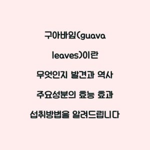 구아바잎(guava leaves)이란 무엇인지 발견과 역사 주요성분의 효능 효과 섭취방법을 알려드립니다