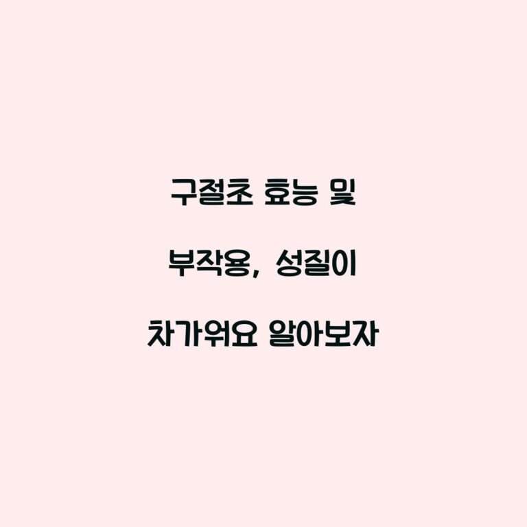 구절초 효능 및 부작용, 성질이 차가워요 알아보자