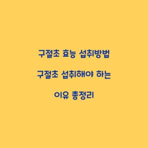 구절초 효능 섭취방법 구절초 섭취해야 하는 이유 총정리