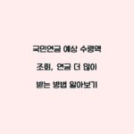 국민연금 예상 수령액 조회, 연금 더 많이 받는 방법 알아보기