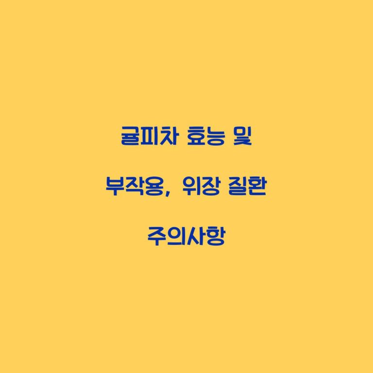 귤피차 효능 및 부작용, 위장 질환 주의사항