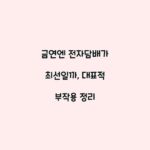 금연엔 전자담배가 최선일까, 대표적 부작용 정리