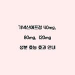 기넥신에프정 40mg, 80mg, 120mg 성분 효능 효과 안내