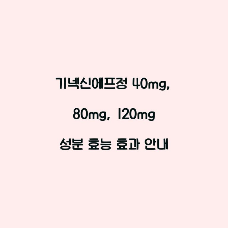 기넥신에프정 40mg, 80mg, 120mg 성분 효능 효과 안내