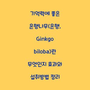 기억력에 좋은 은행나무(은행, Ginkgo biloba)란 무엇인지 효과와 섭취방법 정리