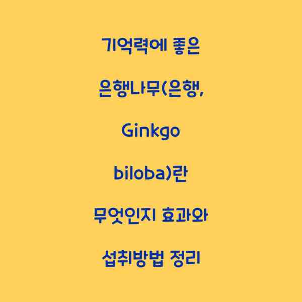기억력에 좋은 은행나무(은행, Ginkgo biloba)란 무엇인지 효과와 섭취방법 정리
