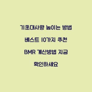 기초대사량 높이는 방법 베스트 10가지 추천 BMR 계산방법 지금 확인하세요