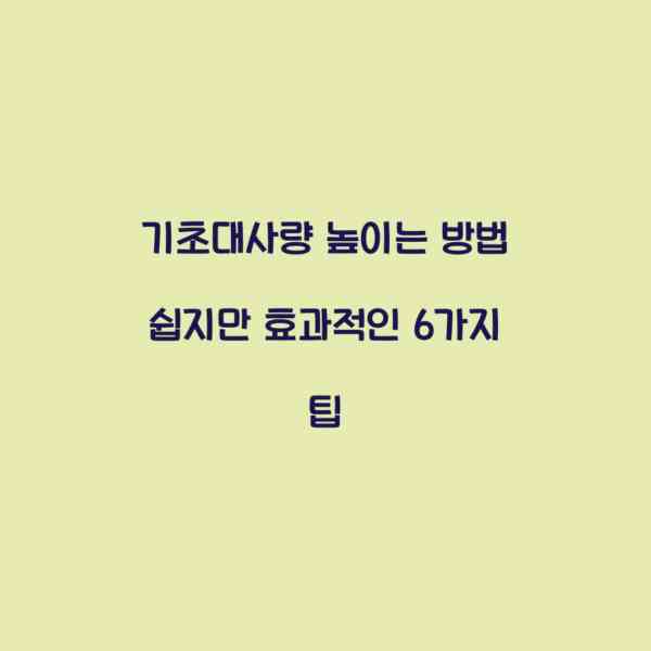 기초대사량 높이는 방법 쉽지만 효과적인 6가지 팁