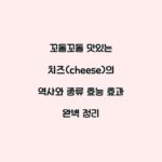 꼬돌꼬돌 맛있는 치즈(cheese)의 역사와 종류 효능 효과 완벽 정리